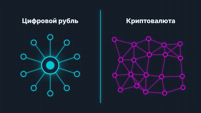 Инфографика: централизованный цифровой рубль и децентрализованная криптовалюта