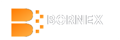 Bornex — логотип